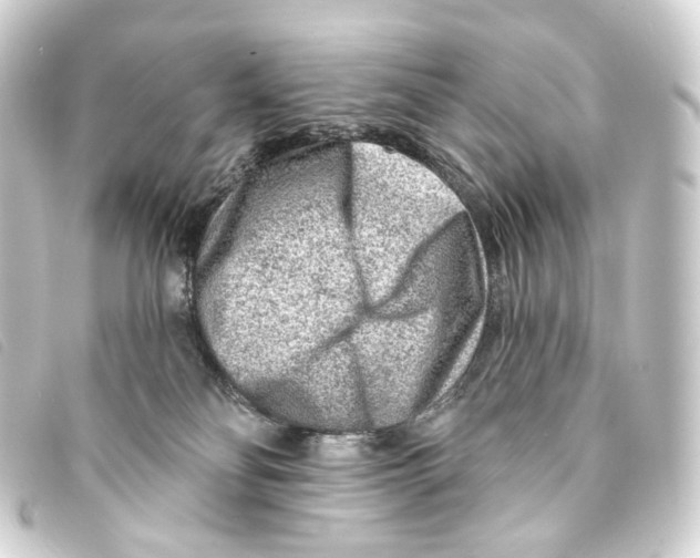 X0000093210134200710241205