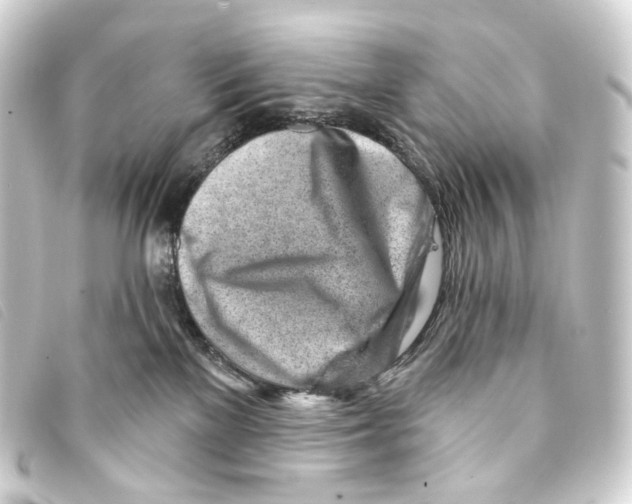 X0000093210137200710241205