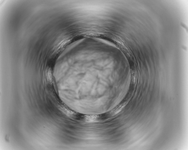 X0000093210143200710241204