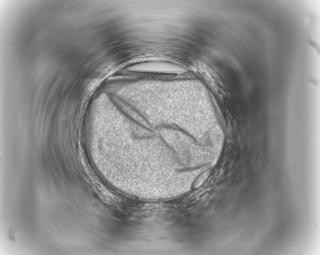 X0000093210145200710241204