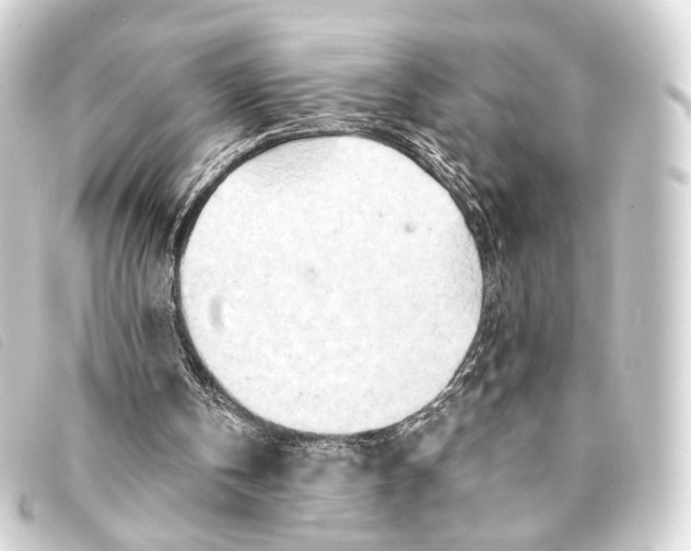 X0000093210146200710241204