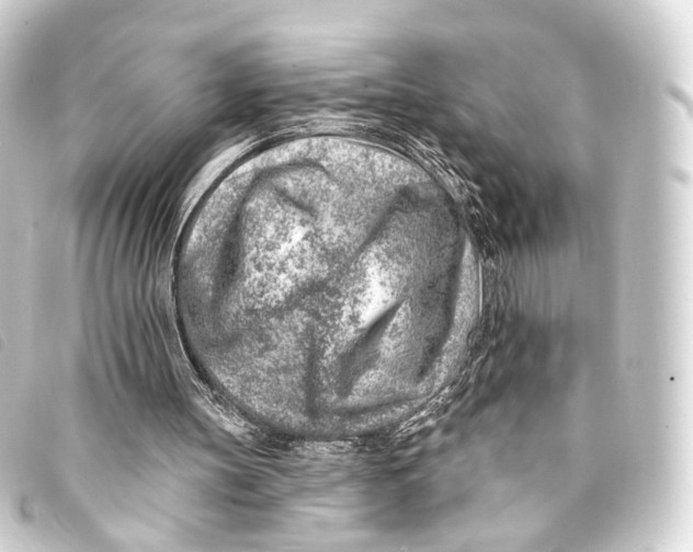 X0000093210147200710241204