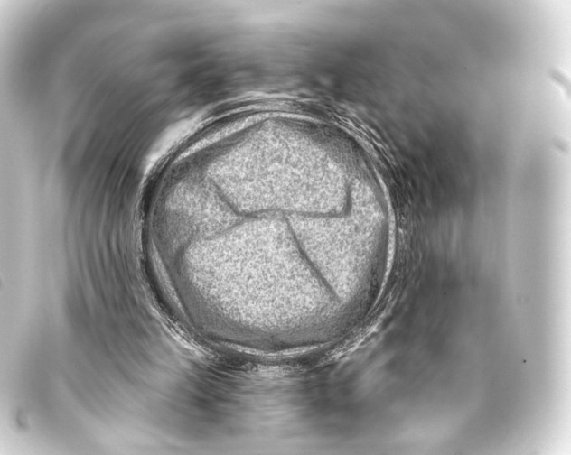 X0000093210149200710241204