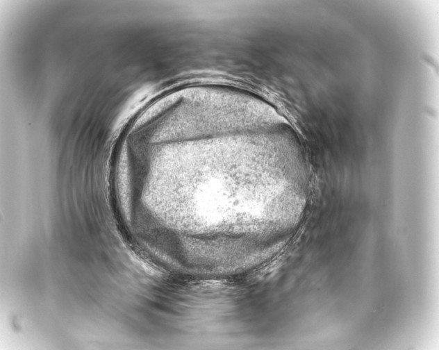 X0000093210151200710241204