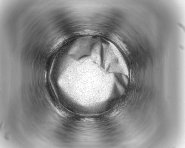 X0000093210157200710241204