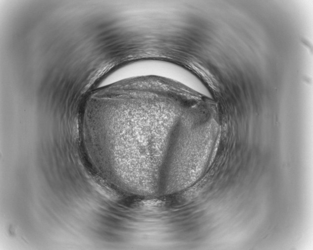 X0000093210158200710241204