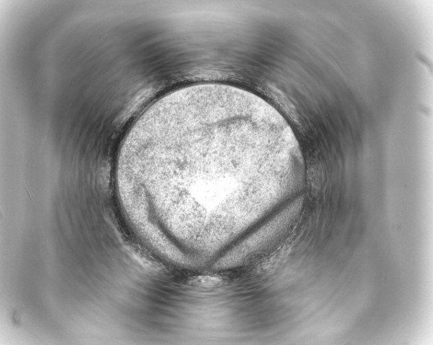 X0000093210159200710241204