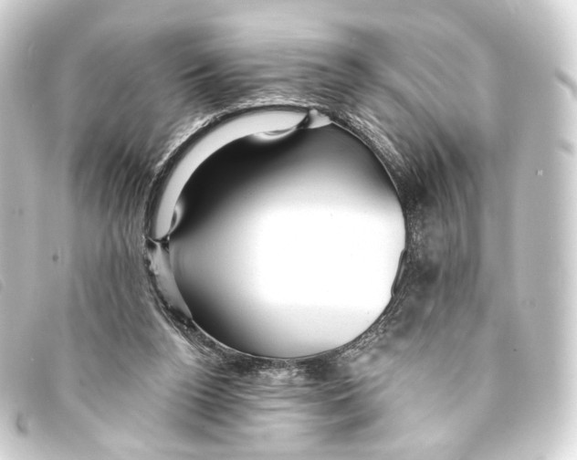 X0000093210160200710241204