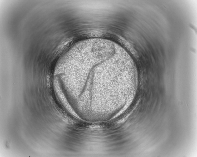 X0000093210161200710241204