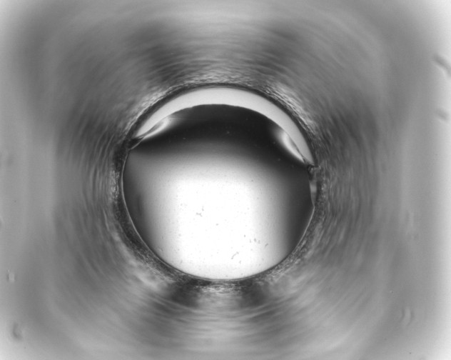 X0000093210164200710241204
