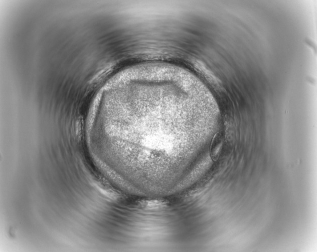X0000093210165200710241204