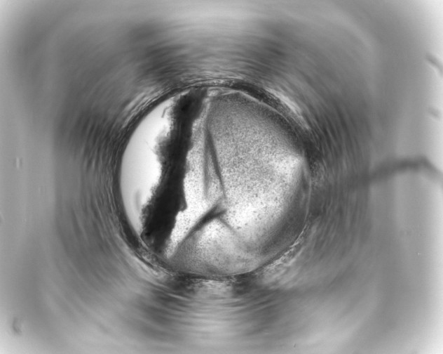 X0000093210166200710241204