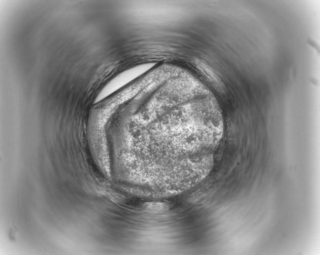 X0000093210169200710241204