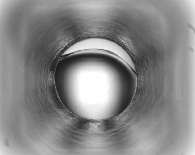 X0000093210172200710241204