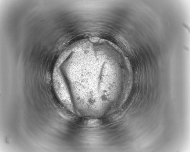X0000093210173200710241204