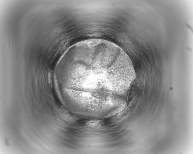 X0000093210175200710241204