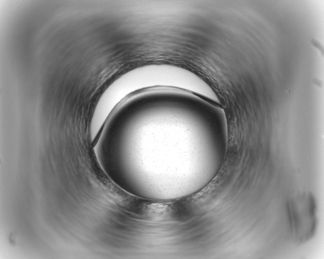 X0000093210176200710241204
