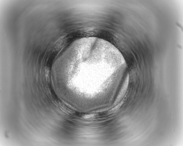 X0000093210178200710241204