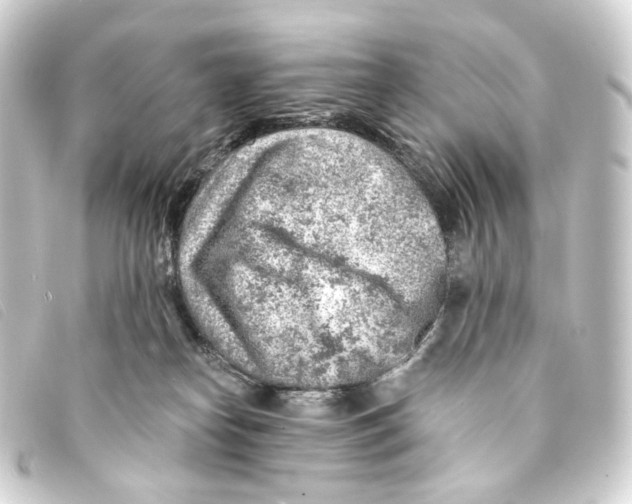 X0000093210182200710241204
