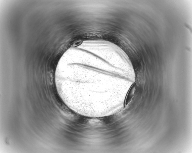 X0000093210183200710241204