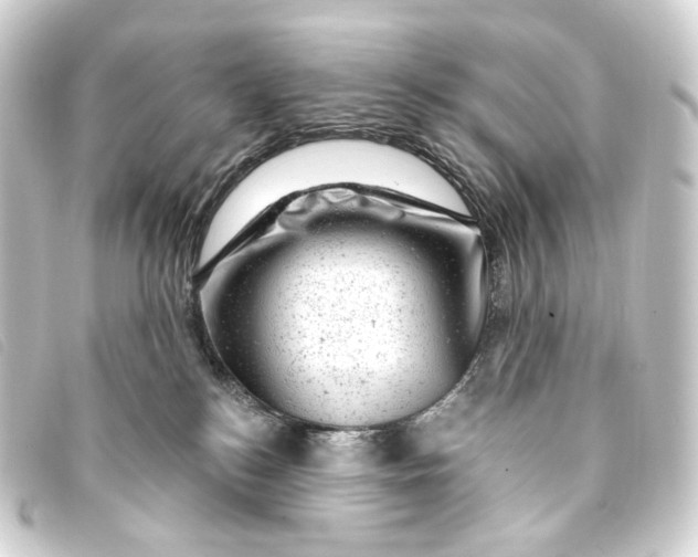 X0000093210184200710241204