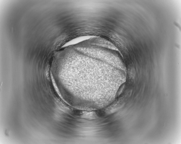 X0000093210185200710241204