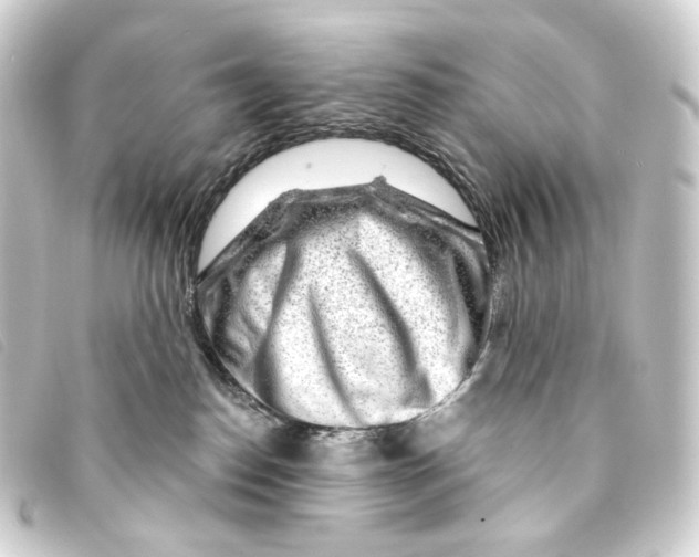 X0000093210186200710241204