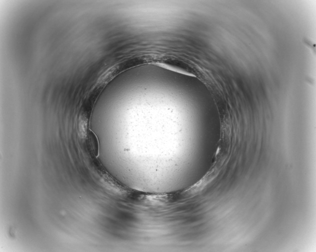 X0000093210188200710241204