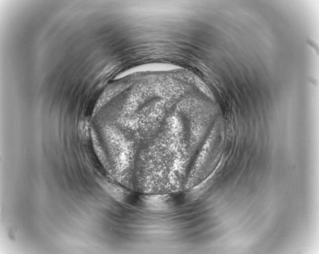 X0000093210191200710241204