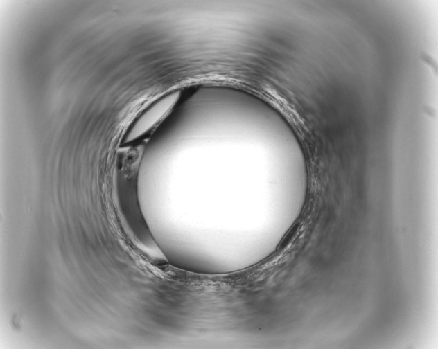 X0000093210193200710241204
