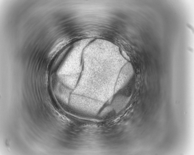 X0000093210194200710241204