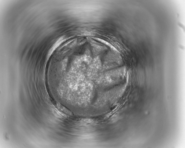 X0000093210195200710241204