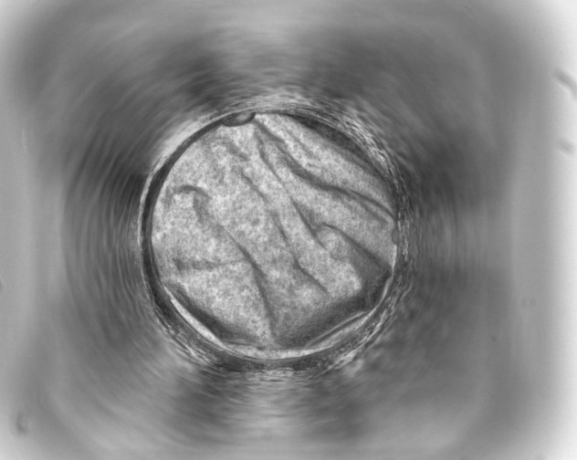 X0000093210196200710241204