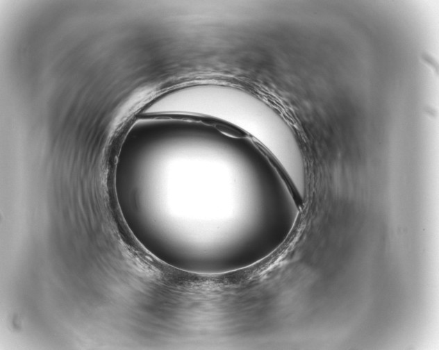 X0000093210197200710241204