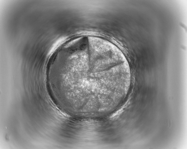 X0000093210199200710241204