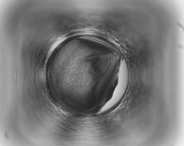 X0000093210200200710241204