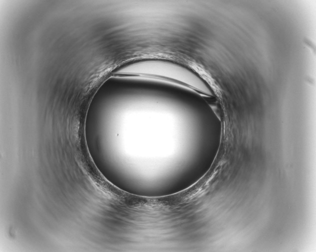X0000093210201200710241204