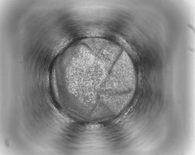 X0000093210202200710241204