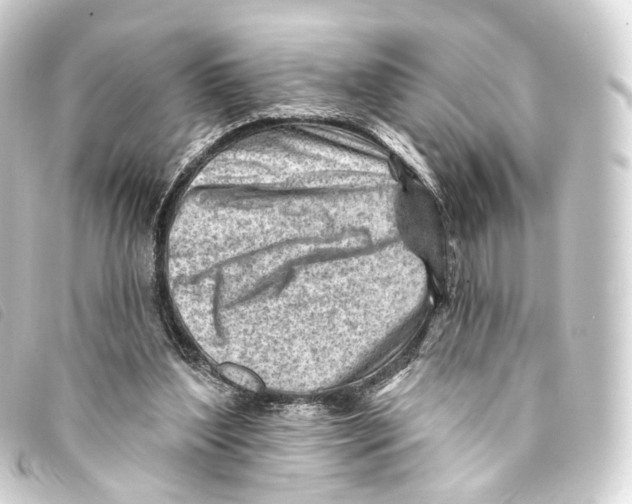 X0000093210204200710241204