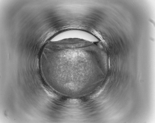 X0000093210205200710241204