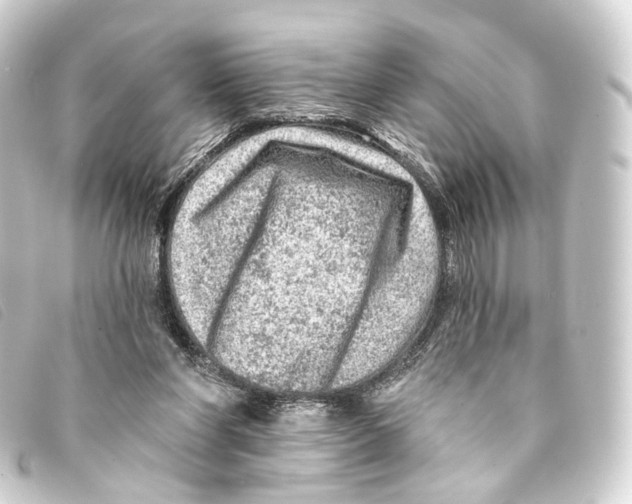 X0000093210206200710241204