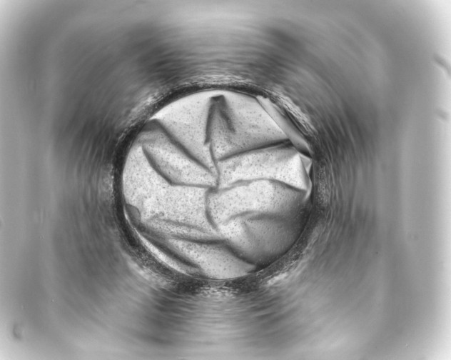 X0000093210207200710241204