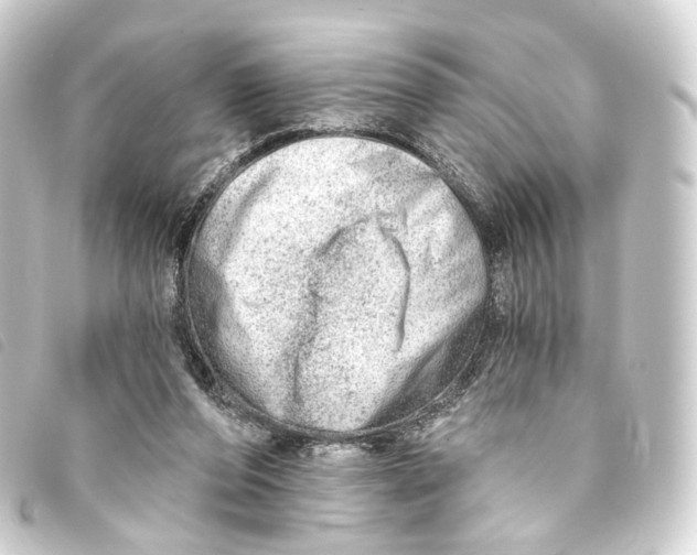 X0000093210208200710241204