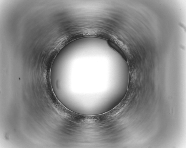 X0000093210209200710241204