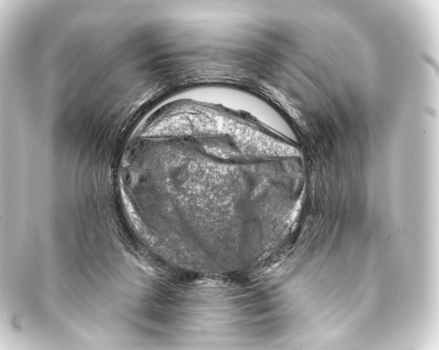 X0000093210211200710241204