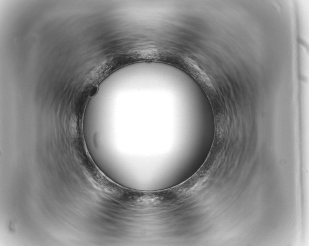X0000093210213200710241204