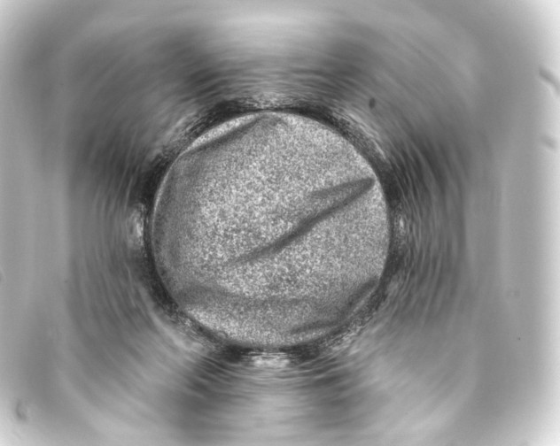 X0000093210214200710241204