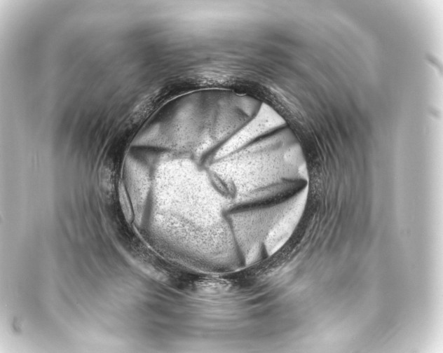 X0000093210215200710241204