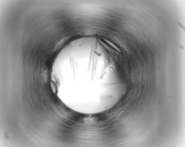 X0000093210216200710241204