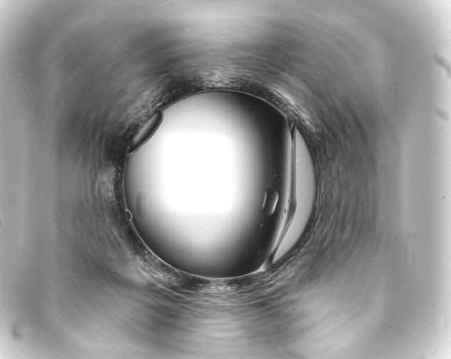 X0000093210217200710241204